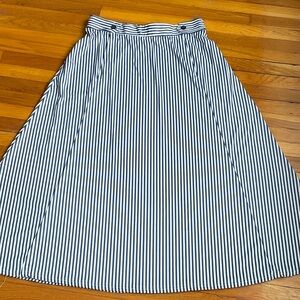 Robert Louis Striped A-Line Skirt in Blue and White